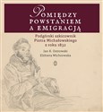 Pomiędzy powstaniem a emigracją Podgórski szkicownik Piotra Michałowskiego z roku 1832 - Jan K. Ostrowski, Elżbieta Wichrowska