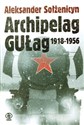 Archipelag GUŁag 1918-1956 Próba dochodzenia literackiego