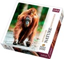 Puzzle 1000 Orangutan Indonezja Nature Limited Edition Mother Care 