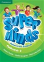 Super Minds American English Level 2 Flashcards (Pack of 103)