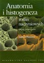 Anatomia i histogeneza roślin naczyniowych Organy wegetatywne