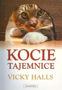 Kocie tajemnice