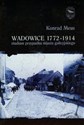 Wadowice 1772-1914 studium przypadku miasta galicyjskiego Tom 1