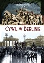 Cywil w Berlinie 1933-1936 - Antoni Sobański