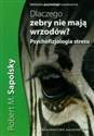 Dlaczego zebry nie mają wrzodów? Psychofizjologia stresu