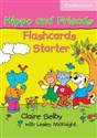 Hippo and Friends Starter Flashcards