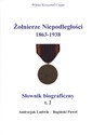 Żołnierze niepodległości 1863-1938 Tom 2 - Wiktor Krzysztof Cygan