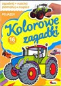 Kolorowe zagadki pojazdy - Piotr Kozera