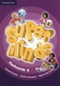 Super Minds Flashcards 6 Pack of 98