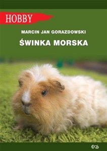 Świnka morska