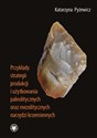 Przykłady strategii produkcji i użytkowania paleolitycznych oraz mezolitycznych narzędzi krzemiennych