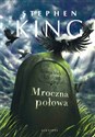 Mroczna połowa