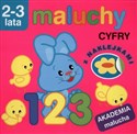 Maluchy Cyfry 2-3 lata