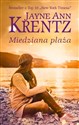 Miedziana plaża