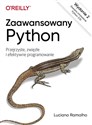 Zaawansowany Python Przejrzyste zwięzłe i efektywne programowanie - Luciano Ramalho