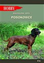 Posokowce - Magdalena Król