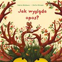 Jak wygląda opos? 