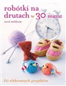 Robótki na drutach w 30 minut 60 efektownych projektów - Carol Meldrum