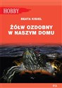 Żółw ozdobny w naszym domu pielęgnowanie - Marcin Jan Gorazdowski