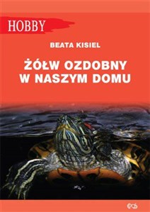 Żółw ozdobny w naszym domu pielęgnowanie