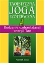 Taoistyczna joga ezoteryczna. Budzenie uzdrawiającej energii Tao - Mantak Chia