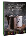 Zdrowie z natury Kawy i herbaty z łąk i lasów  - Katarzyna Mikulska, Artur Bokła
