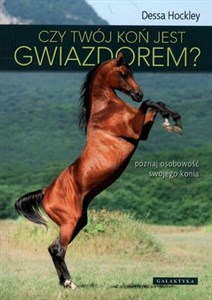 Czy twój koń jest gwiazdorem? poznaj osobowość swojego konia