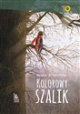 Kolorowy szalik