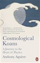 Cosmological Koans A Journey to the Heart of Physics