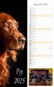Kalendarz 2025 ścienny pasek Psy 