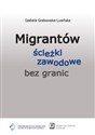 Migrantów ścieżki zawodowe bez granic - Izabela Grabowska-Lusińska