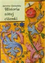 [Audiobook] Historia żółtej ciżemki - Antonina Domańska