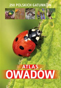 Atlas owadów 250 polskich gatunków