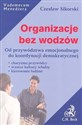 Organizacje bez wodzów Od przywództwa emocjonalnego do koordynacji demokratycznej