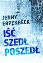 Iść szedł poszedł - Jenny Erpenbeck