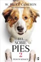 Był sobie pies 2 - W. Bruce Cameron