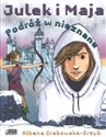 Julek i Maja Podróż w nieznane - Ałbena Grabowska-Grzyb