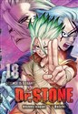 Dr Stone. Tom 18