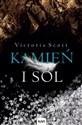 Kamień i sól - Victoria Scott