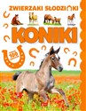 Koniki