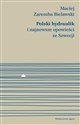 Polski hydraulik i najnowsze opowieści ze Szwecji