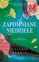 Zapomniane niedziele - Valerie Perrin