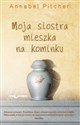 Moja siostra mieszka na kominku