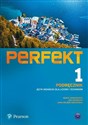 Perfekt 1 Podręcznik Język niemiecki Liceum i technikum - Beata Jaroszewicz, Jan Szurmant, Anna Wojdat-Niklewska