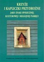 Krzyże i kapliczki przydrożne jako znaki społecznej, kulturowej i religijnej pamięci