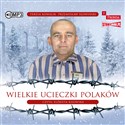 [Audiobook] Wielkie ucieczki Polaków - Przemysław Słowiński, Teresa Kowalik