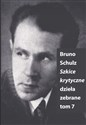 Szkice Krytyczne - Bruno Schulz