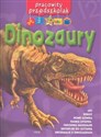 Pracowity przedszkolak Dinozaury 