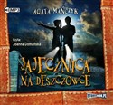 [Audiobook] Jajecznica na deszczówce - Agata Mańczyk