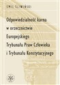 Odpowiedzialność karna w orzecznictwie Europejskiego Trybunału Praw Człowieka i Trybunału Konstytucyjnego 